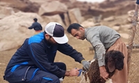 واکسیناسیون رایگان بیش از 890 هزار راس دام سبک و سنگین علیه بیماری بروسلوز در خوزستان