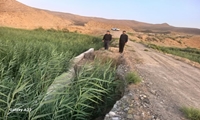 راه  دسترسی جدید از انتهای قشلاق قره قیه تا یللی علیا در کلیبر احداث می‌شود