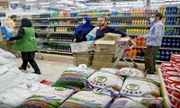 ۱۵ هزار تن کالای اساسی در خراسان‌شمالی توزیع شد