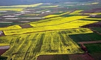 بازدید از ده ها هکتار اراضی واگذاری دزفول