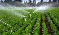 افزایش 3 برابری اعتبارات سامانه‌های نوین آبیاری در بودجه 1404