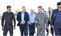 معاون امور زراعت وزارت جهاد کشاورزی از مراکز خرید تضمینی گندم در مشهد مقدس بازدید کرد