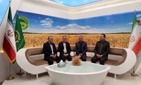 تات؛ تدوین‌گر و پشتیبان فنی از الگوی کشت