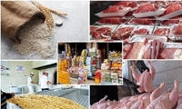 آخرین وضعیت تأمین کالاهای اساسی در استان تهران/نظارت مستمر برای جلوگیری از گرانفروشی ادامه دارد