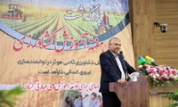آموزش کشاورزی نیازمند نگاه توسعه‌گرا و حمایت ساختاری است/ مجلس حامی تحول در آموزش کشاورزی