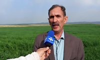 سیستم حفاظ‌های بارانی راهکار مناسب گزینش ارقام مقاوم به خشکی برای مقابله با تغییرات اقلیمی