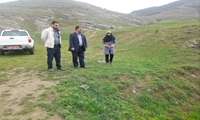 ارزیابی میدانی مبارزه با ملخ در هوراند