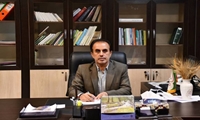 فعالیت 11 مرکز خرید تضمینی گندم و خریداری بالغ بر  25 هزار تُن محصول از کشاورزان کهگیلویه و بویراحمد