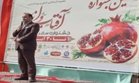  انار بجستان، نگین سرخ خراسان رضوی در مسیر ارزش‌آفرینی