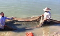 راه‌اندازی رشته شیلات در چهارمین شهرستان خوزستان