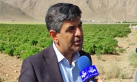 ۲۱ هزار هکتار از اراضی ملی استان چهارمحال و بختیاری به مستثنیات اشخاص افزوده شد