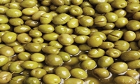 پیش‌بینی برداشت ۲۵ هزار تن زیتون در قطب زیتون کشور/طارم آماده عرضه روغن و کنسرو زیتون به بازار 