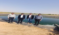 کشاورزی هوشمند، آینده‌ساز است  /آبیاری نوین در ایلام می‌تواند الگو شود