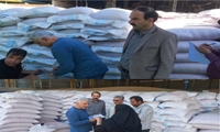 بازدید ناظران موسسه بذر و نهال کشور از تولید بذر در ایلام