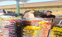 الزام صدور فاکتور الکترونیکی و شفافیت قیمت‌گذاری در میدان میوه و تره‌بار هرمزگان