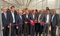 سفر وزیر جهاد کشاورزی آذربایجان شرقی