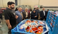  توسعه واحدهای سورتینگ و فرآوری گامی مؤثر در ارتقای کیفیت و ارزش صادراتی محصولات باغی است