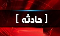 مصدومیت واکسیناتور دامپزشکی بر اثر گازگرفتگی سگ
