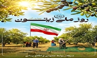 4 آذر روز ملی زیتون گرامی باد