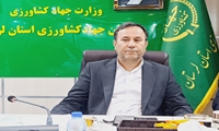  توزیع فوری یک هزار و ۵۰۰ تن نهاده طیور در لرستان  