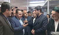 بازدید استاندار کردستان از بزرگ‌ترین واحد تولید و فرآوری قارچ خوراکی 