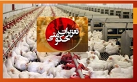  تشکیل 19 فقره پرونده تعزیراتی در خصوص گران‌فروشی مرغ زنده در شهرستان هشترود