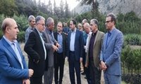 بازدید رئیس سازمان منابع طبیعی از نهالستان گونه‌های جنگلی کانی در چالوس