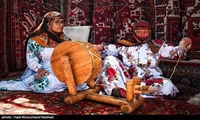  به مناسبت ۱۵مهرروزروستاوعشایر: مهاجرت معکوس با توسعه اقتصادی و رونق گردشگری روستاها وعشایر 