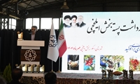 پسته، ستاره سبد صادرات غیرنفتی کشور است