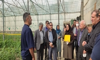 حمایت از شرکت‌های دانش‌بنیان، راهبرد جدی وزارت جهاد کشاورزی برای قطع وابستگی به واردات