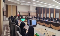قزوین پیشتاز اقتصاد خانواده‌محور با اتصال کسب‌وکارهای خرد زنان به تعاونی‌ها