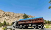 ۲۶۸ هزار تن کود اوره از استان بوشهر به نقاط مختلف کشور ارسال شد