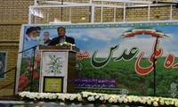 تولید ۲۵ درصد از عدس کشور در آذربایجان‌شرقی