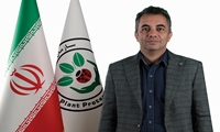 ضرورت هم‌افزایی ملی برای حفظ محصول استراتژیک خرما