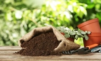  آغاز سال زراعی ۱۴۰۴-۱۴۰۵ با برنامه‌ریزی هدفمند تامین کود در یزد 