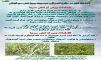 پوستر آموزشی راهکارهای مدیریت سرمازدگی مزارع گندم