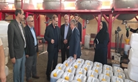تشدید نظارت بر بازار مرند؛ ۳۲۰ بازرسی در شش ماه و ثبات در عرضه کالاهای اساسی
