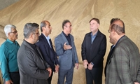 عملیات خرید تضمینی گندم در بوشهر به‌زودی آغاز می‌شود/ تجهیز نانوایی‌های استان به سوخت دوگانه به ایستگاه تنگستان رسید