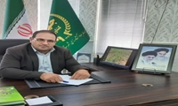 هشدار به گندم‌کاران و جوکاران بخش چاهک: آفت شته مزارع را تهدید می‌کند