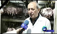 تولید روزانه بیش از۴۵۰ تن گوشت مرغ در استان آذربایجان شرقی 