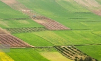 صدور سند برای بیش از هزار هکتار از اراضی کشاورزی شهرستان گرگان در سال ۱۴۰۴‌