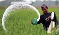 تأمین کامل و پایدار کودهای مورد نیاز کشاورزی در خراسان شمالی در سال جاری