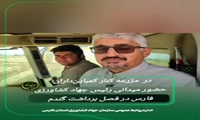 آغاز برداشت گندم از مزارع استان فارس 
