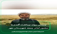 سخنان امام جمعه شهرستان مهر در مزارع گندم در حال برداشت شهرستان مهر