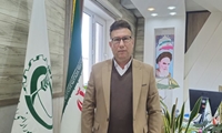 صدور نزدیک به هزار سند تک‌برگ در بزرگ‌ترین قطب کشاورزی بوشهر
