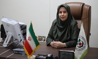 زنگ خطر بادزدگی در مزارع سیب‌زمینی گلستان به صدا درآمد