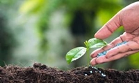 تأکید بر نقش راهبردی مطالعات خاک‌شناسی در برنامه‌ریزی کشاورزی ‌خوزستان 