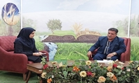 ظرفیت صنایع تبدیلی و غذایی آذربایجان شرقی از ۶.۵ میلیون تن عبور کرد