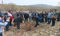  پویش ملی درختکاری،سرو ایران درپارک جنگلی چغاسبز شهر ایلام