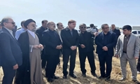  پیش‌بینی خرید ۹۴ هزار تُن گندم از کشاورزان بوشهری